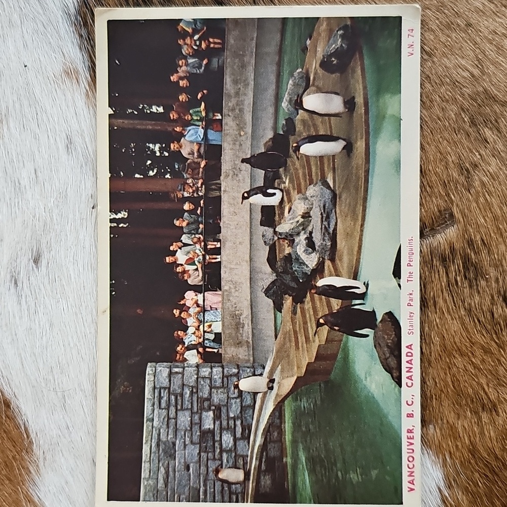1940s 1950s Vancouver BC Stanley Park postcard penguins